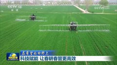 地通过改换品种、使用种子包衣手艺等